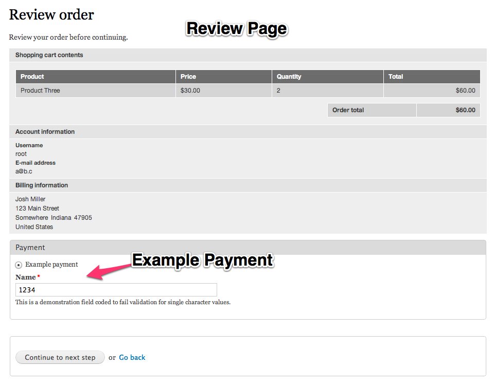 Example Payment
