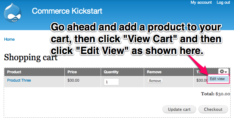 Go ahead and add a product to your cart, then click View Cart and then click edit view as shown here.