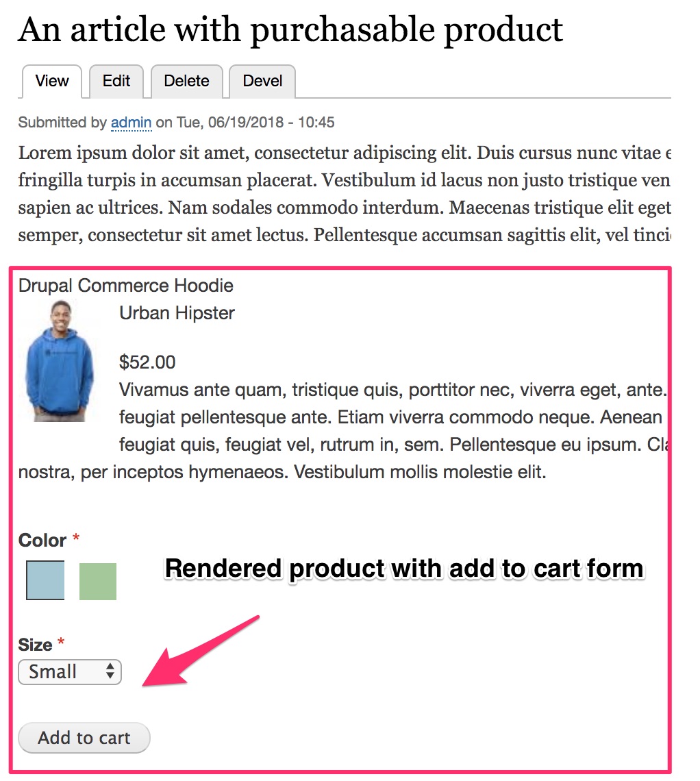 Rendered product with add to cart form